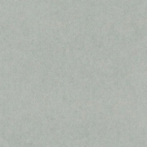Mino Washi Silver Grey
