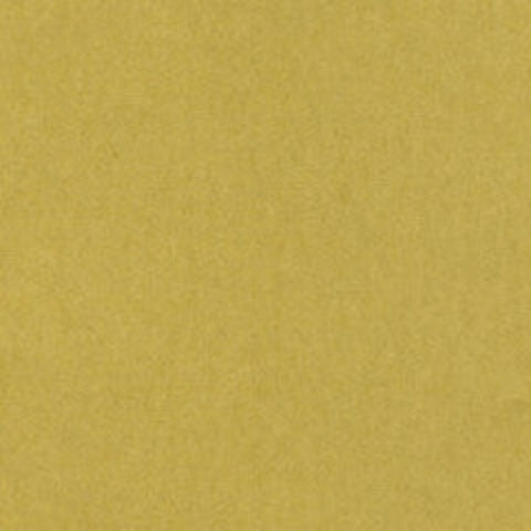 Mino Washi Curry