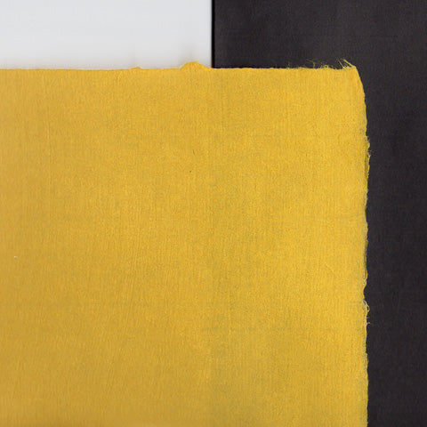 AI-302 Aiko's Color Kozo Yellow Corn