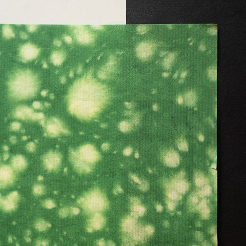 An-Jing Lucy Bright Green CH-LG