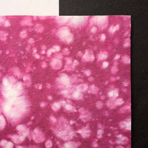 An-Jing Lucy Raspberry CH-LRp