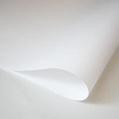 Crepe Paper Heavy White I-SDW
