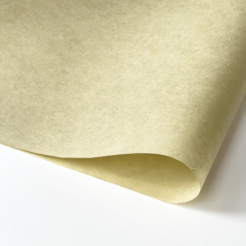 Abacá Handmade Citrus 55gsm IN-BCiG55