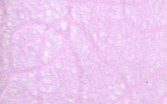 Japanese Lace Ukigumo  8 COLORS!