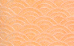 Japanese Lace Sekaiha with backing