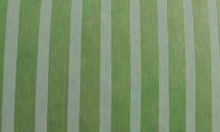 Jewel-Toned Cotton Lime Green Stripes