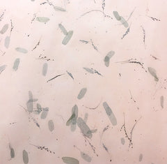 Kozo Gift Wrap Paper with Tamarind Inclusions